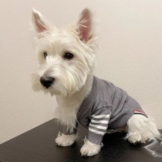 반려동물 강아지 고양이 니트 가디건 E022