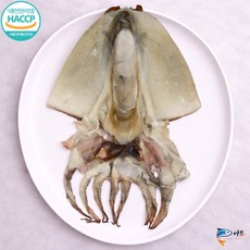 (유)피쉬아트 군산 반건조 갑오징어, 1개, 5마리(세로25~26cm, 가로35~37cm)