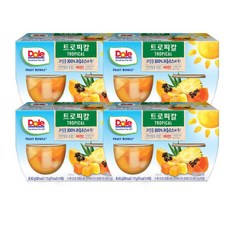 Dole 후룻볼 트로피칼 113g 4개입 4개, 4개