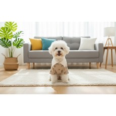 나비 북유럽 카라티 국내 자체제작! 강아지 고양이 옷 티셔츠 실내복 올인원 애견 여름 봄 반려견 중형견 대형견, 베이지(BEIGE), 1개