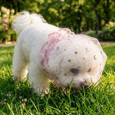 로로포우 강아지 산책 페이스 커버, 2개, 핑크