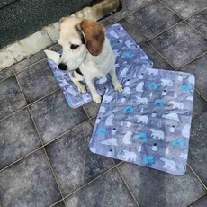 반려동물 쿨 매트 쿨방석 강아지 고양이 여름 방석 쿨링 애견, 1개, 상세페이지 참조