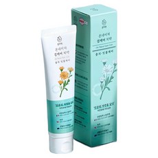 온치약 잇몸 케어 치약 고체 임산부 치주염 치은염 천연 생약추출, 1개, 130g