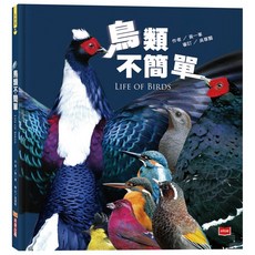 未來出版 鳥類不簡單(新版)/黃一峯, 黃一峯
