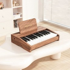 전자 미니 어린이 소형 연습 키보드 학습 학생 성인 초보 피아노, 1개, A. 25키 월넛색 목조 피아노 컬러박스 무료 악보 스