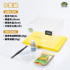 彼得角蛙 辦公室棉養套組 簡易角蛙飼養套組 爬寵 角蛙 守宮 兩棲飼養缸, 1個, Ａ套組