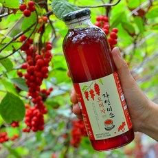 오미자원액 500ml 자연미소, 1개