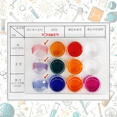 학교 과학 실험 수업교구 색깔변화 관찰 학습 산 염기 지시약 세트 과학놀이, 1개, 상세페이지참조