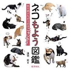 고양이 책 도서 고양이도 그림책 : 색상과 무늬가 다르다는 냥이야 일본 직배송