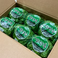 채소모아 산지직송 포장 양상추 6통 한박스 식자재 업소용 대용량, 300g, 6개