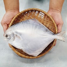 신안 손질 생물 병어 대 특대 왕특 내장제거 비늘제거 병어회 제수용, 중 사이즈 1미(26cm내외), 1개, 26cm내외