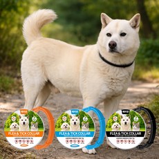 [오늘출발] 베러댄 강아지 진드기 해충 목걸이 벌레 케어 산책용품 / 최대 8개월 지속 1+1, 01.오렌지+오렌지, 1개
