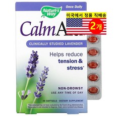 1+1 네이처스웨이 라벤더 오일 80mg 30 소프트젤 허브 솔비톨 글루텐프리 안정, 2개, 30정