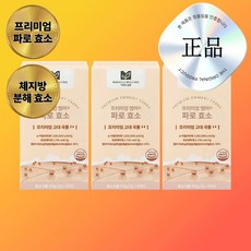 핏고비 다이어트 프리미엄 파로 효소, 3개