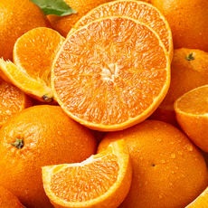 [반값할인] 초초특가 벌꿀맛고당도 최대15BRIX 천혜향, 1박스, 2kg