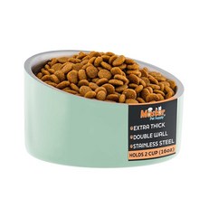 Master Pet Supply 스테인리스 스틸 비스듬한 개 고양이 사료 그릇 - 226.8g(8온스) 튼튼한 - 피스타치오 이중벽 단열 프렌치 퍼그 고양이를 위한 미끄럼 방지, 2 Cups (16 oz), Pistachio