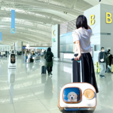 페츠앤 반려동물 기내용 이동장 캐리어 분리형 가방, 기내용이동가방+캐리어, 1개, 기내용이동가방+캐리어 1개