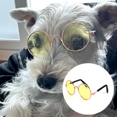 옐로우 강아지 고양이 선글라스, 본상품
