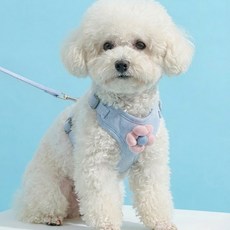 해피펫밀리 데이지 하네스 리드줄 세트, 스카이, 1개