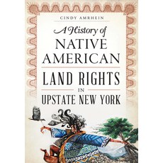 (영문도서) A History of Native American Land Rights in Upstate New York Paperback, History Press, English, 9781626199316