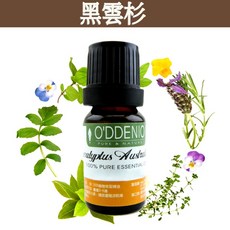 O'DDENIO 黑雲杉純精油, 1個, 黑雲杉10ml