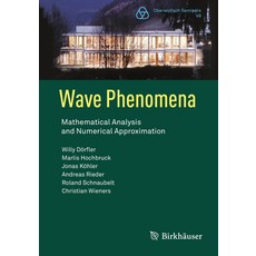 (영문도서) Wave Phenomena: Mathematical Analysis and Numerical Approximation Paperback, Birkhauser, English, 9783031057922