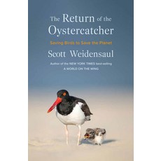 (영문도서)The Return of the Oystercatcher: Saving Birds to Save the Planet Hardcover, W. W. Norton & Company, English, 9781324036784