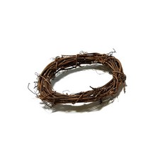 넝쿨리스틀 원형 (중), 5개