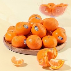 달콤왕 고당도 만다린 5kg(5575과)