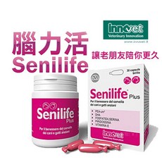 法國innovt 腦力活Senilfe高齡犬貓腦部營養補充劑 30錠 三毛吉寵, 1個, 送小凍乾, 大腦/認知, 30顆