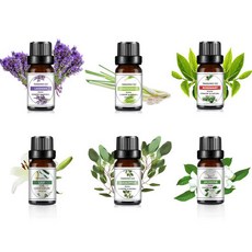 식물 추출 에센셜 아로마 에센셜 오일 10ml M12743, 자스민, 1개