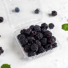 햇 블랙베리 슈퍼복분자 특품 1kg 급냉, 1개