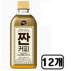 아임이 짠커피 솔티드카라멜 커피페트음료 500ml, 12개