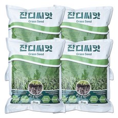 잔디씨앗 3kg 30평용 다년생 톨훼스큐 파야테 경사면 법면녹화 사방공사용 가정용 정원 아파트 골프장 경기장 잔디, 4개