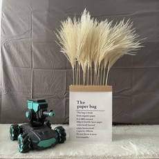 인조 갈대 조화 테라스 소품 조경 인테리어 장식 야외, 건조 꽃 팩, 베이지화이트 스몰 러시그래스 80cm 50개