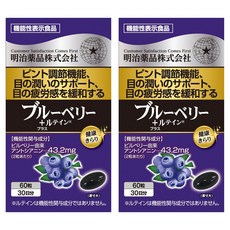 메이지약품 블루베리 + 루테인 소프트젤, 2개, 60정