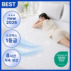 스르르 듀라론 3D 에어매쉬 냉감패드 국내생산 쿨매트 여름패드, 쿨화이트 쿨화이트