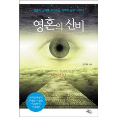 靈魂的奧秘：揭示靈魂實體的科學探索報告, 天下, 金基泰 著