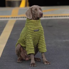 DFMEI 中大型犬寵物狗狗衣服暖絨保暖衛衣拉布拉多金毛秋冬裝打底衫條紋, 1個, 綠色