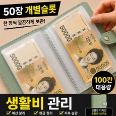 브로미 현금바인더 100칸 저축챌린지 다이어리 생활비 예산관리 캐시스터핑, 1개, 민트