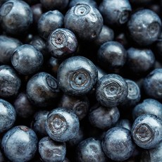 고당도 생블루베리 신선하고 단단한 칠레산 생과 125g 6팩