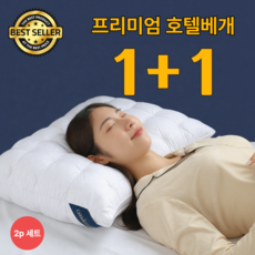 [5성급숙면]레브랑 꿀잠 호텔 베개 1+1, white, 2개