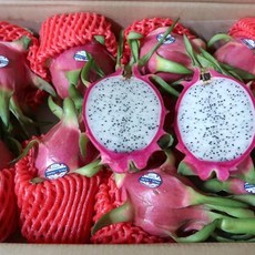 백용과 베트남 직수입 프리미엄 용과 3과 1.5kg