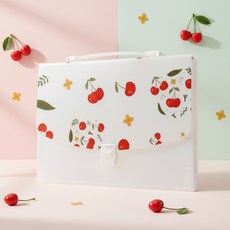 체리패턴 13칸 도큐먼트 클립형 파일백, 1개