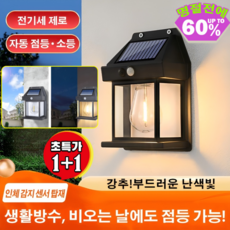 1+1 스마트 아웃도어 태양광 라이트 태양광 정원등 캠핑 야외조명 LED 자동 점등/소등, [1+1](2개)블랙