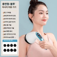 요기다상사 바디고주파마사지기 얼굴고주파마사지기, 기본 모델명/품번, 블루 10단계 12모드 넓은면적