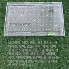 트레이파종기 토마토 배추 종자 이식기 들깨 모종 파종기, 블루, 1개
