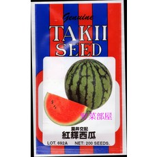 TAKII SEED R25 日本紅輝西瓜種子 果肉甜美 細緻 甜度高, 1包