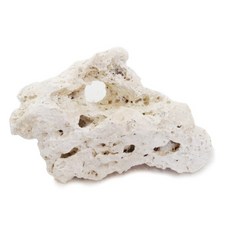 해구석 2kg / 수족관 어항 수조 장식 수석 어항 돌, 1개