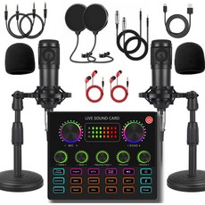 2인용 팟캐스트 장비 번들 BM-800 마이크 포함 보이스 체인저 - 녹음 노래 스트리밍 및 게임에 완벽한 콘덴서